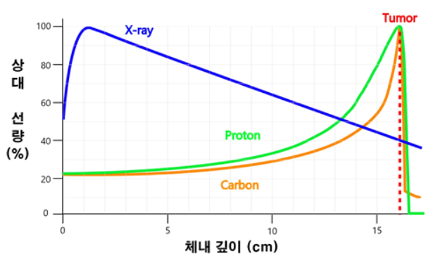 중입자의 Bragg peak를 나타내는 표이다