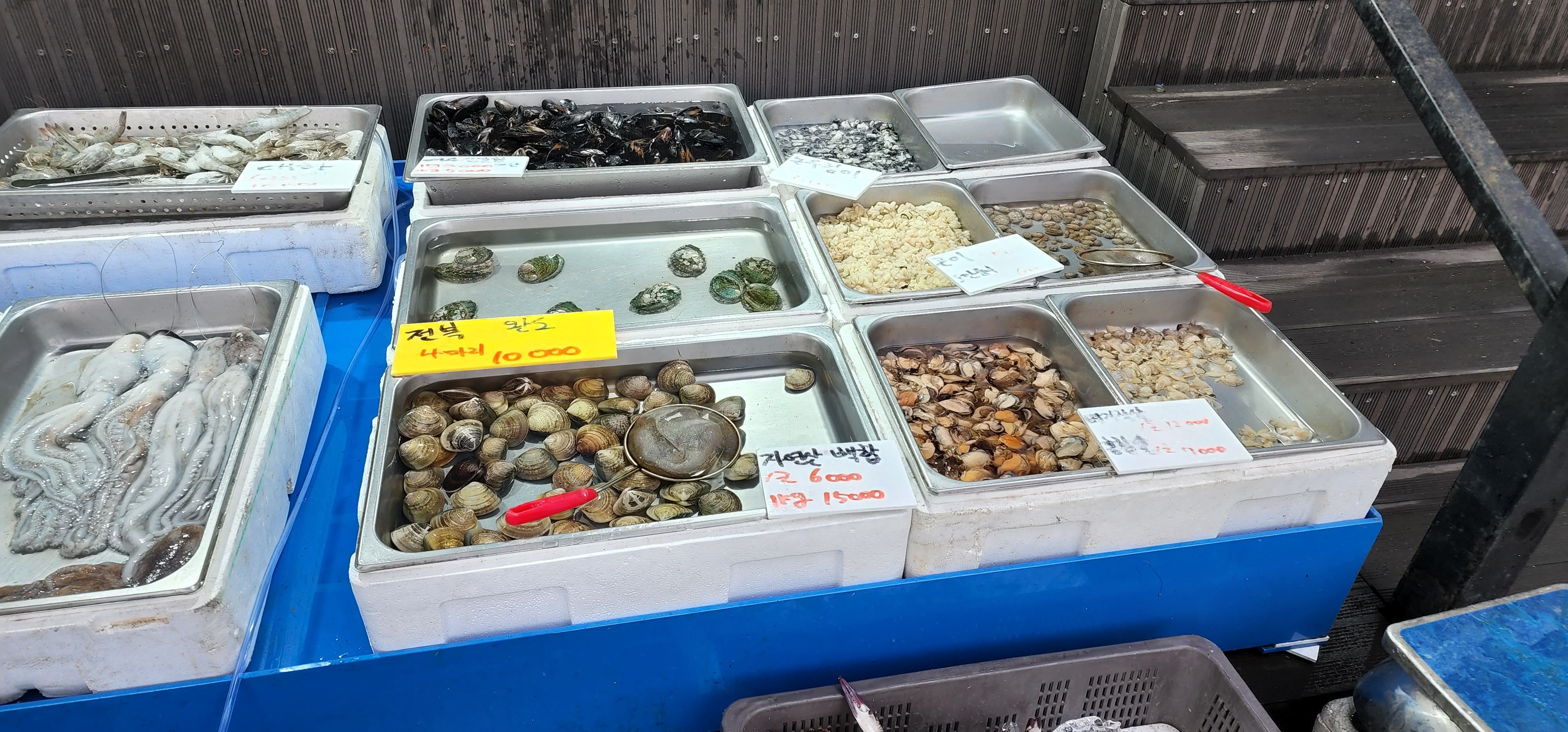 싱싱회수산_세진이네_03