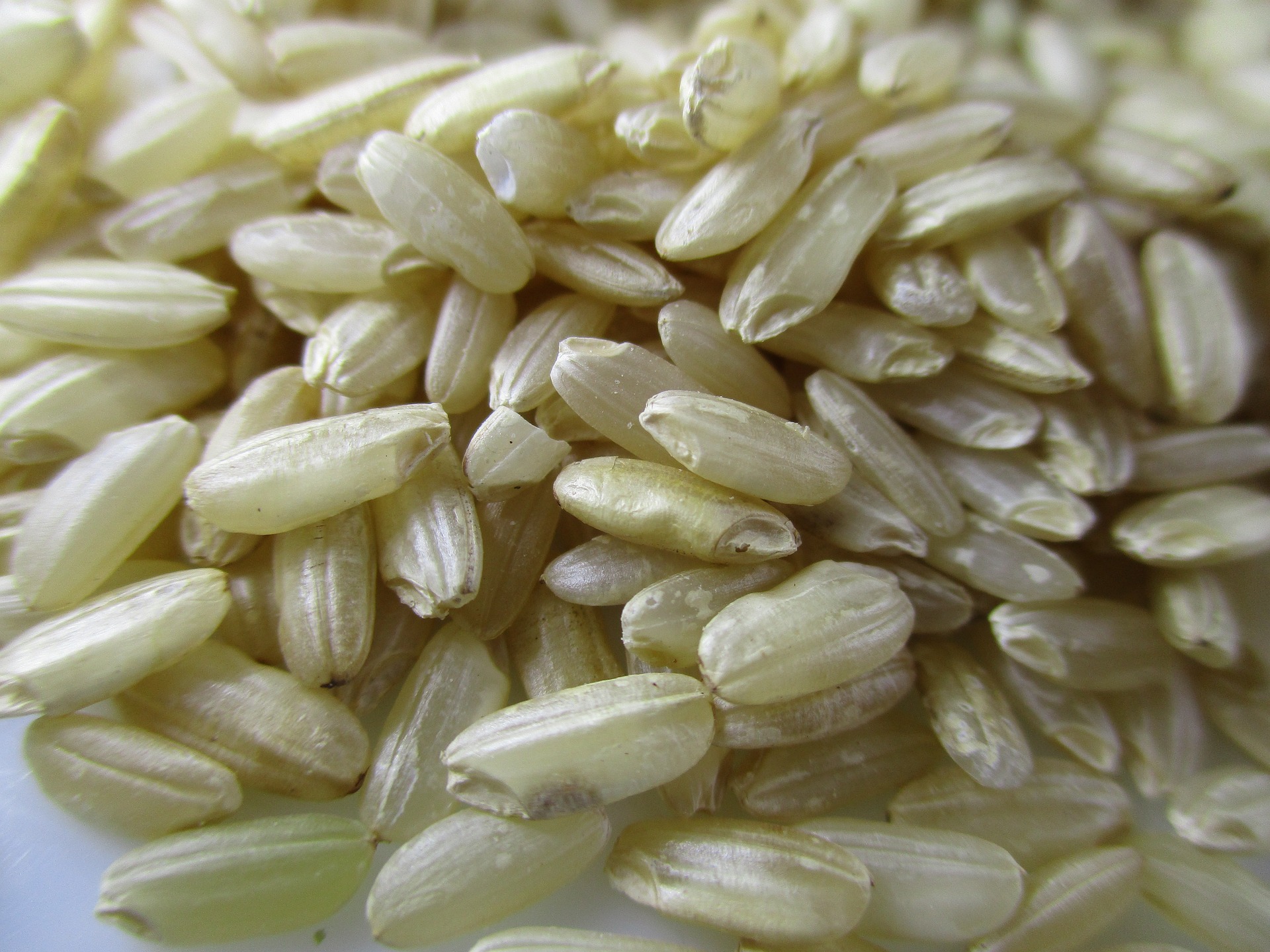 쌀을 도정할 때&#44; 쌀껍데기를 덜 깎아서 생산한 현미를 확대해서 찍어둔 사진