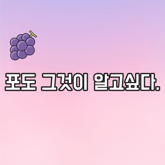 포도 썸네일 사진