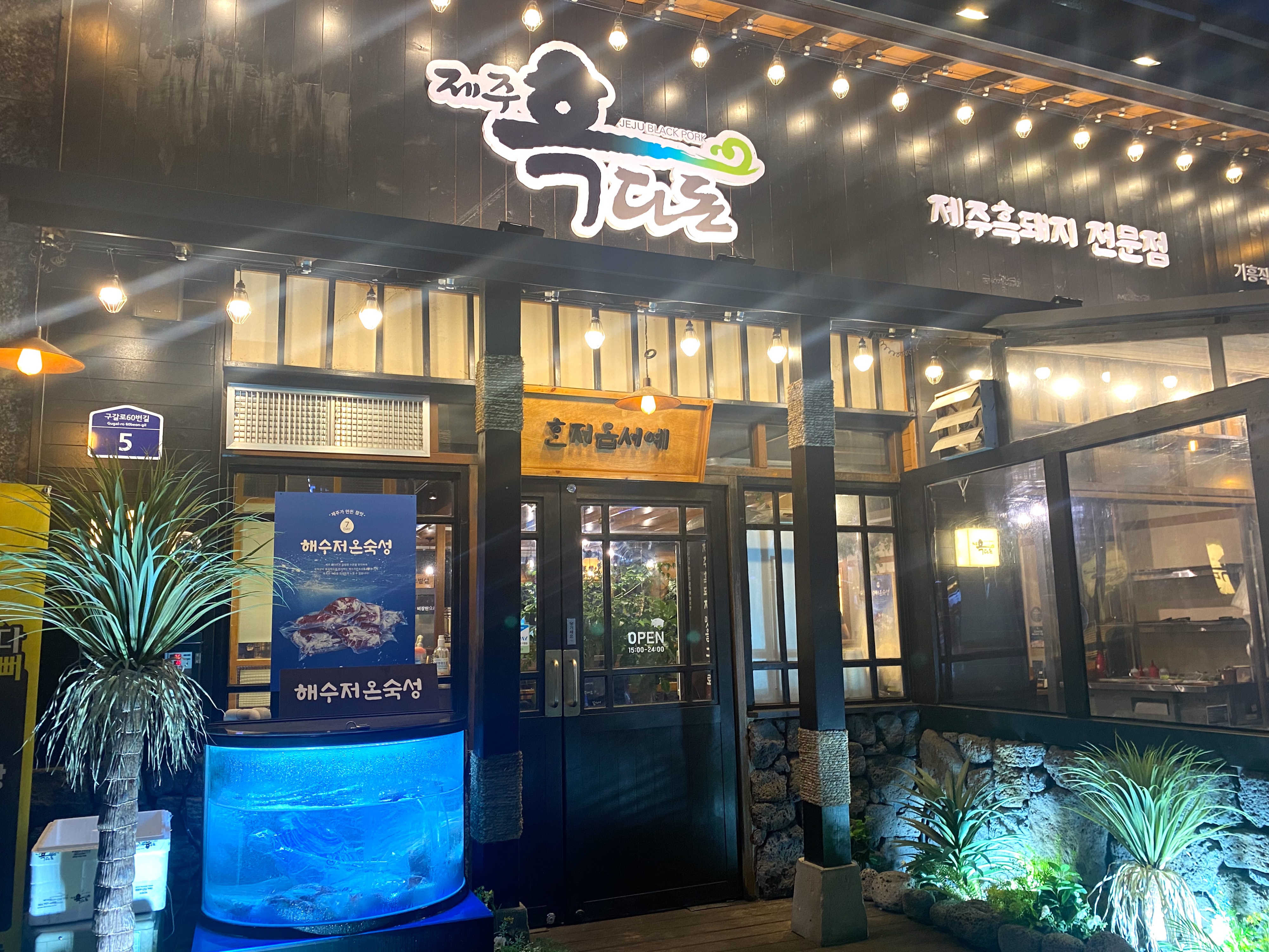 야자수 기흥구청 이미지