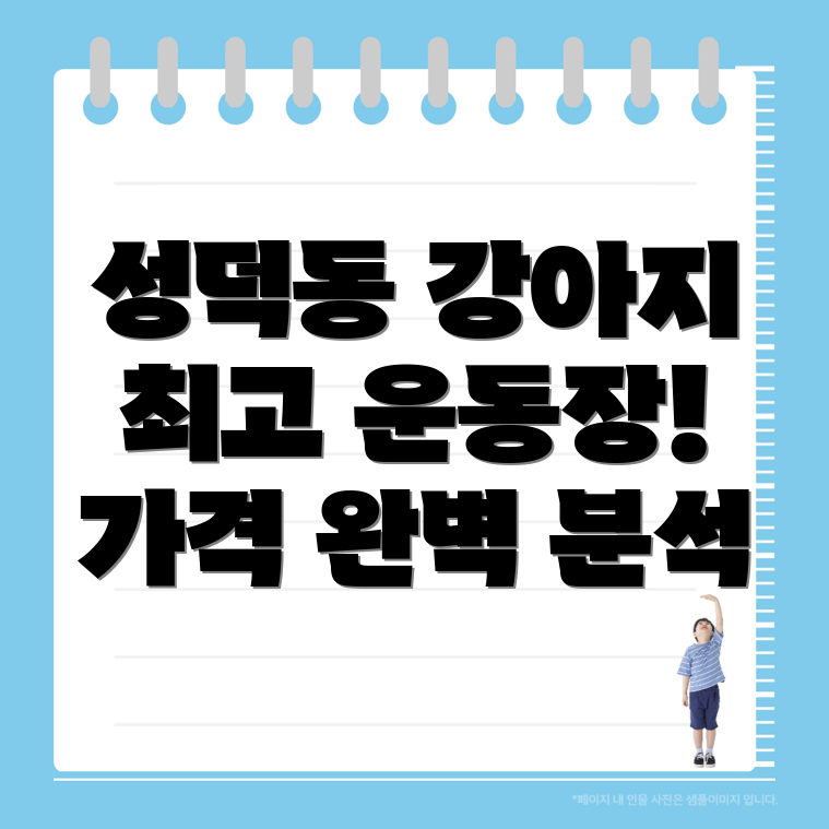 전주 덕진구 강아지 운동장