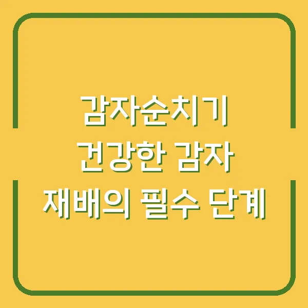감자순치기 건강한 감자 재배의 필수 단계