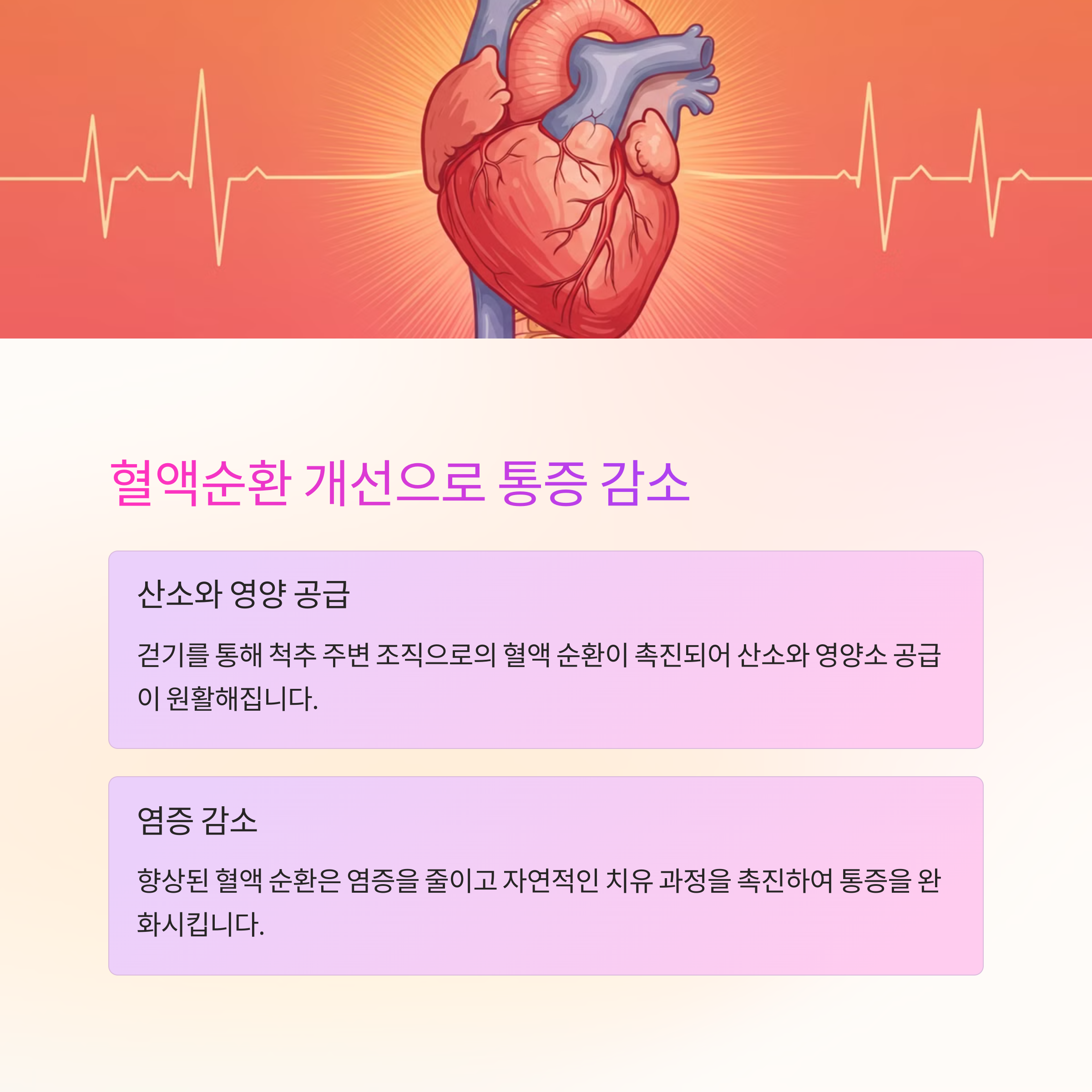 혈액순환 개선으로 통증 감소