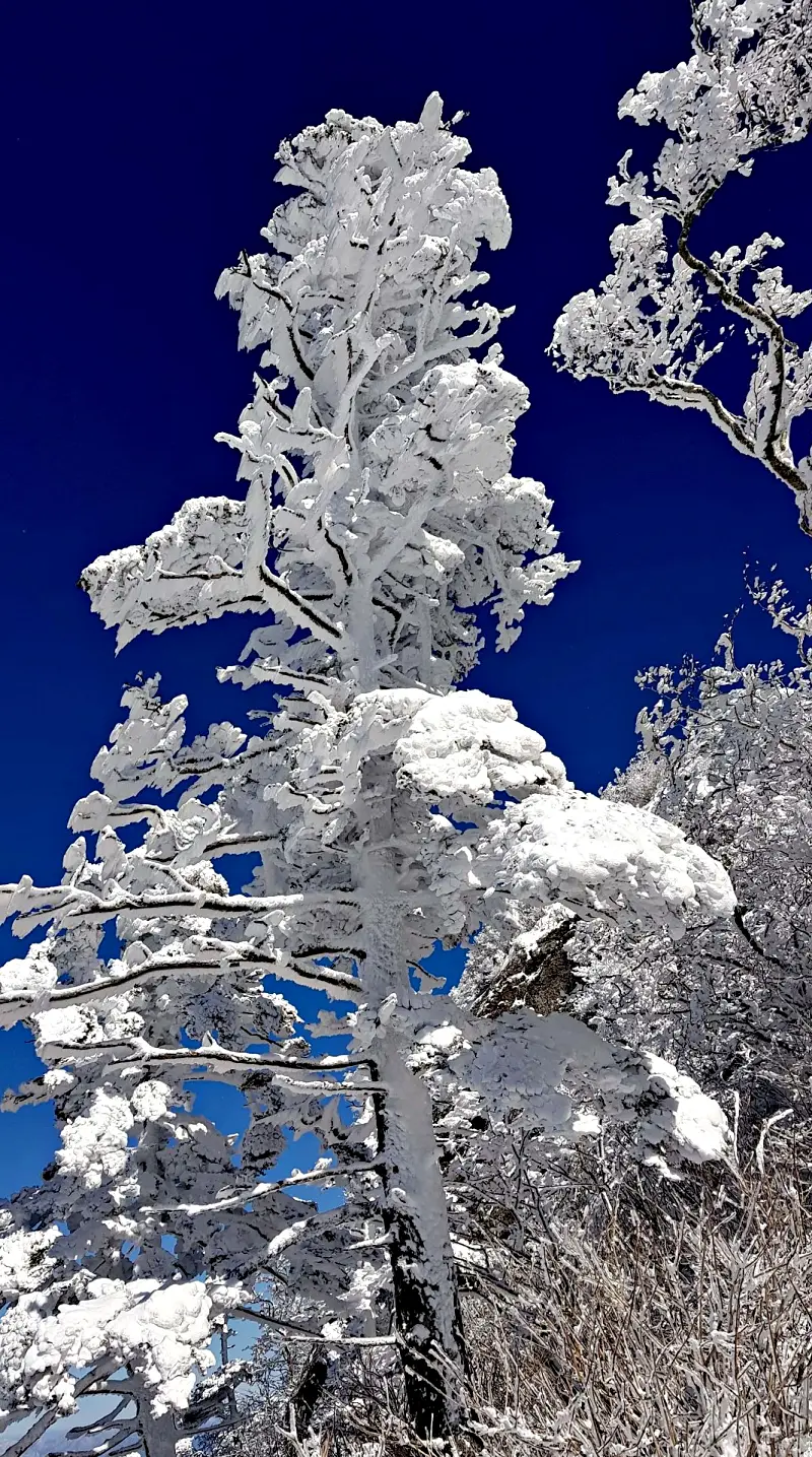 지리산 설경 상고대