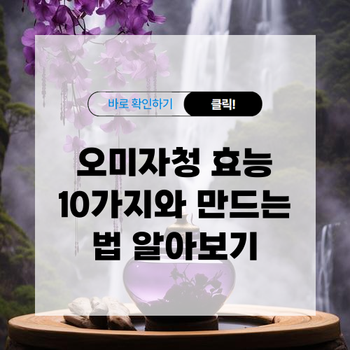 오미자청 효능 및 섭취 시 주의사항 그리고 오미자청 만드는 법 알아보기