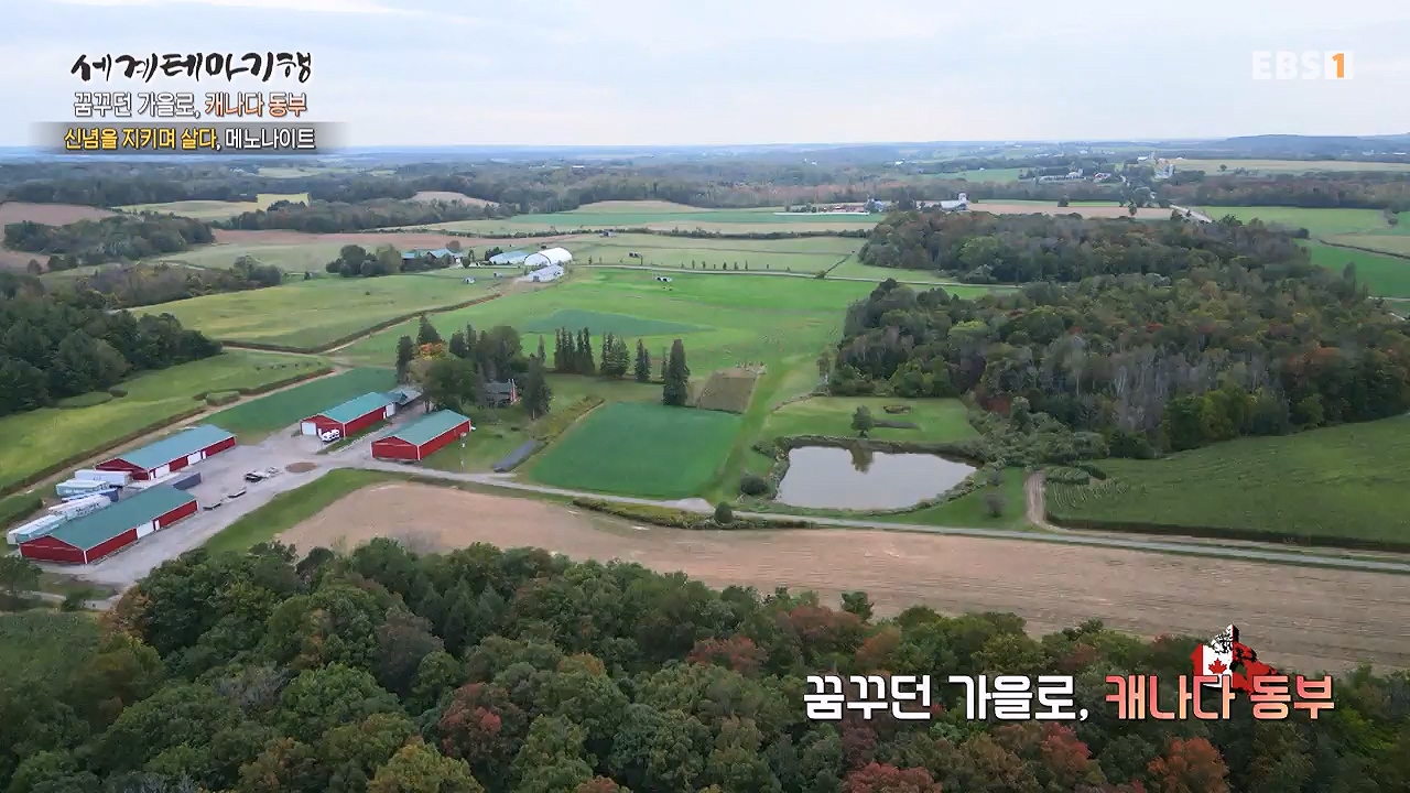 세상의모든기행꿈꾸던 가을로 캐나다 동부-다시 올 이유, 단풍국.mp4_20231127_205051.714.jpg