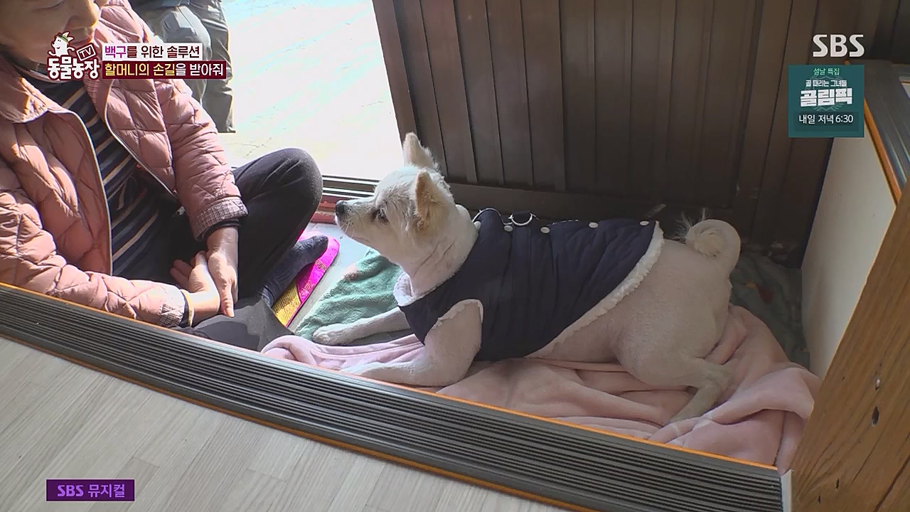 TV 동물농장.E1104.230123p.WANNA.mp4_20230123_195413.256.jpg