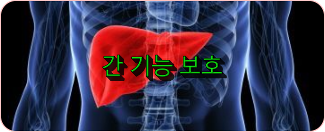 간 기능 보호