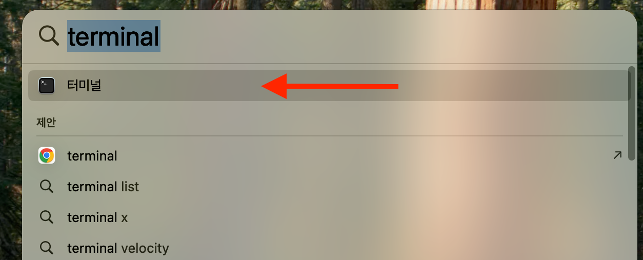맥OS 터미널 여는 방법