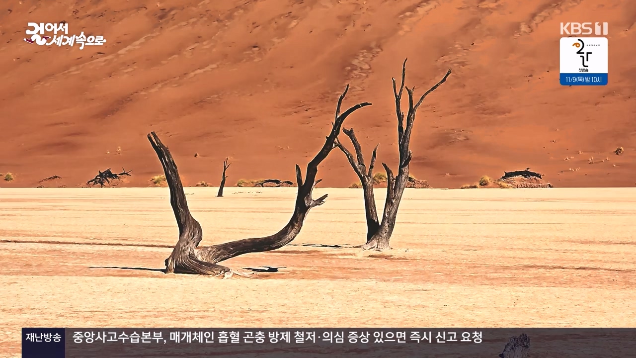 걸어서 세계속으로.E816.231105p-NEXT.mp4_20231104_175439.817.jpg