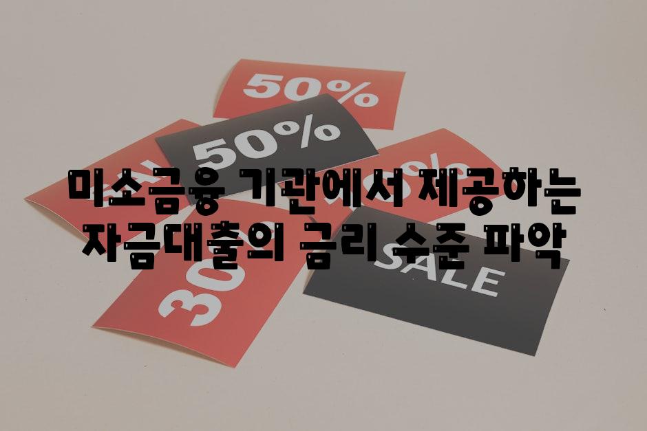 미소금융 기관에서 제공하는 자금대출의 금리 수준 파악