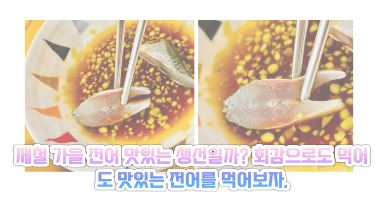 제철 가을 전어 맛있는 생선일까? 회감으로도 먹어도 맛있는 전어를 먹어보자.