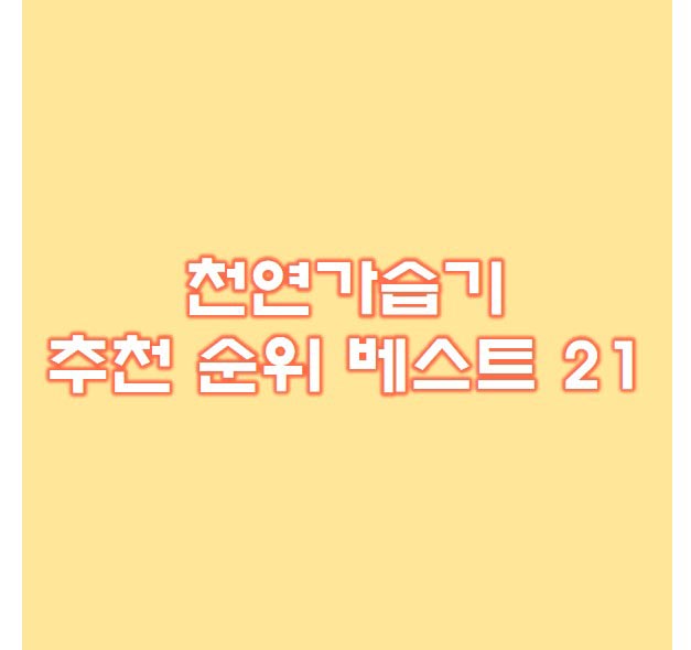  천연가습기 추천 베스트 21 후기확인