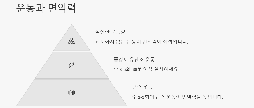 면역력 증대(강화,개선,확대) 방법: 생활습관,식습관,운동,영양보조제