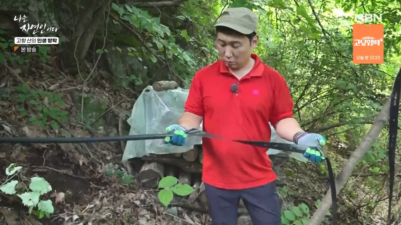 나는 자연인이다.E568.230824p-NEXT.mp4_20230824_203256.719.jpg