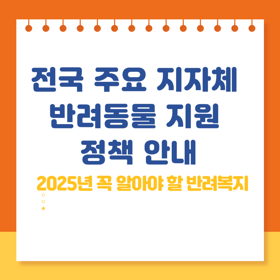 전국 주요 지자체 반려동물 지원 정책 안내|2025년 꼭 알아야 할 반려복지