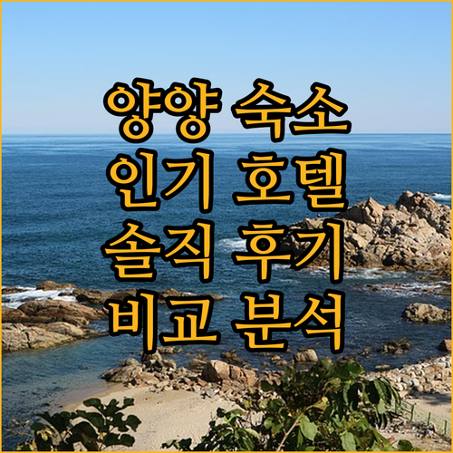 양양 인기 숙소 리뷰 서프리조트 인더