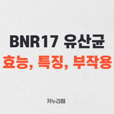 BNR17 유산균 효능&#44; 특징&#44; 부작용 총정리(다이어트 유산균)