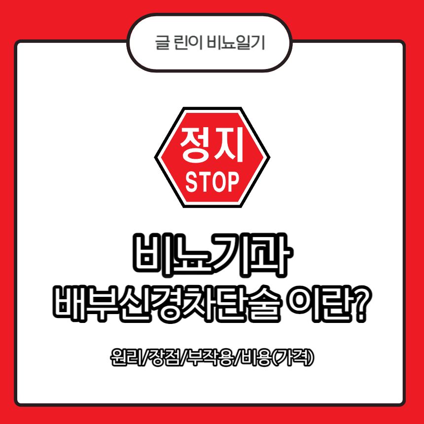  비뇨기과 배부신경차단술 이란? 원리/장점/부작용/비용(가격)