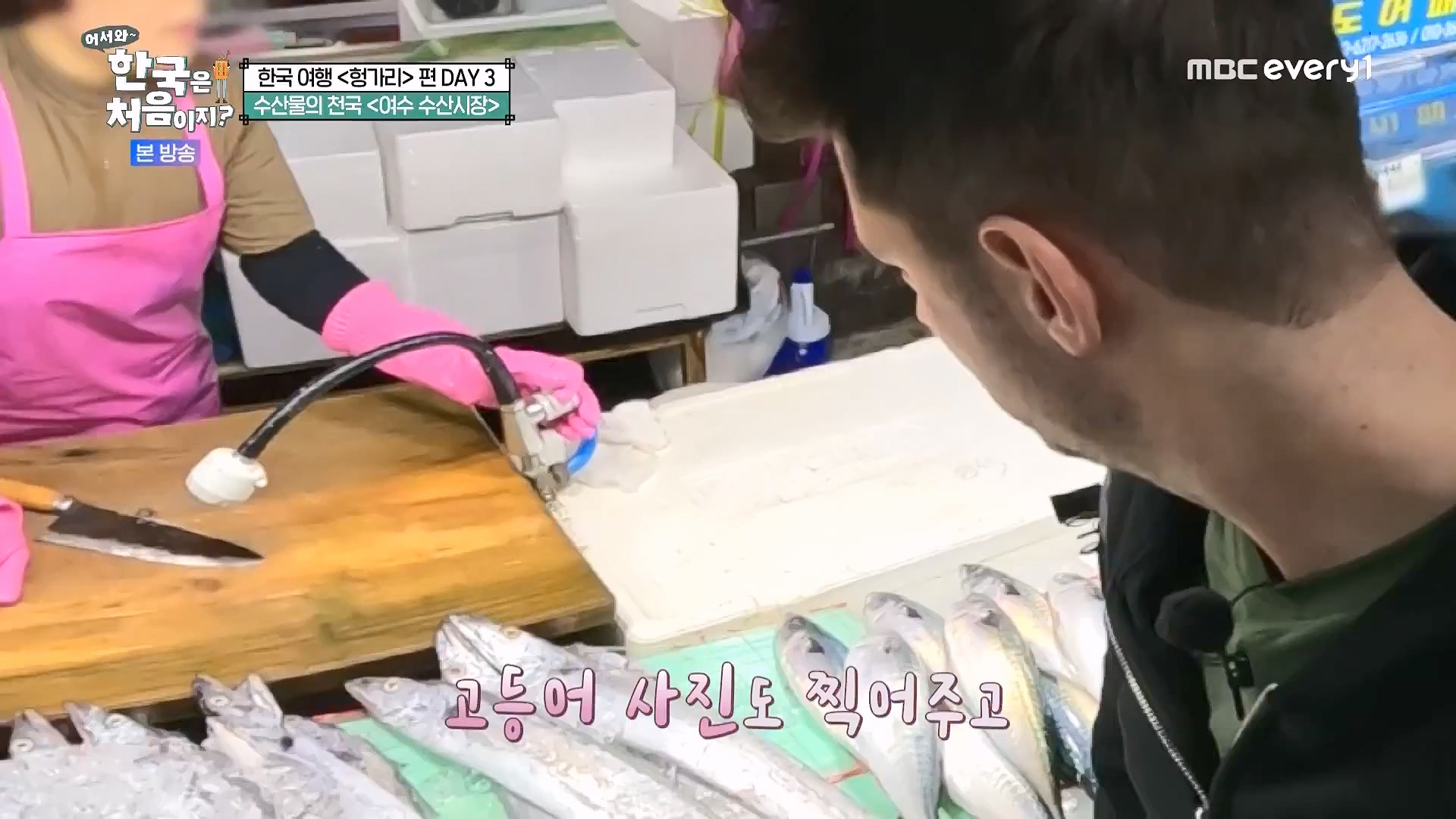 어서와 한국은 처음이지.E318.240613p.WANNA.mp4_20240615_163922.357.jpg