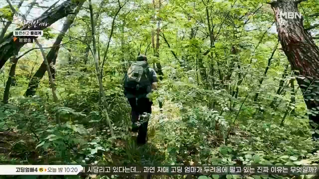 나는 자연인이다.E566.230810p.WANNA.mp4_20230810_202551.281.jpg