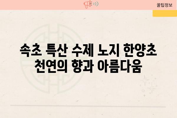 속초 특산 수제 노지 한양초 천연의 향과 아름다움