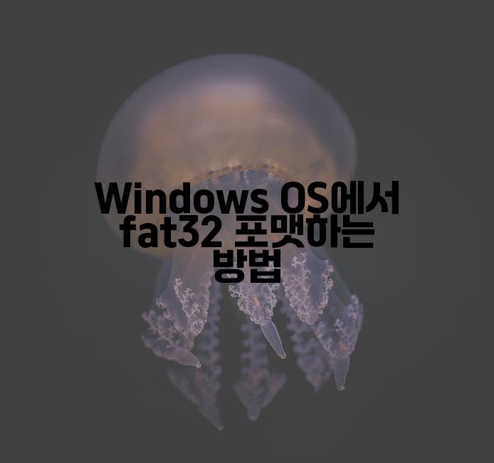 Windows OS์์ fat32 ํฌ๋งทํ๋ ๋ฐฉ๋ฒ