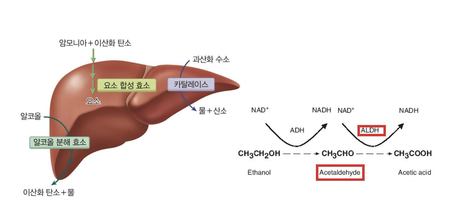  data-origin-width=