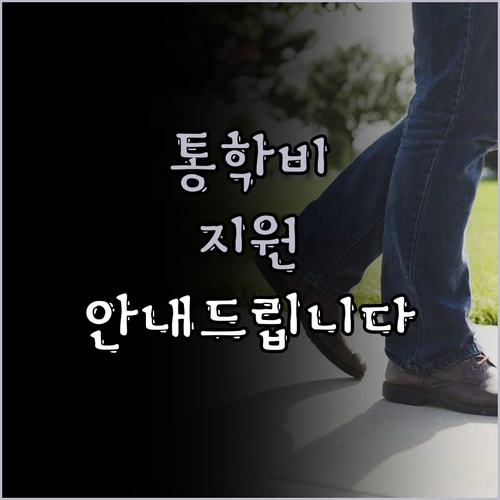 특수교육대상자 통학비 지원 내용은 무