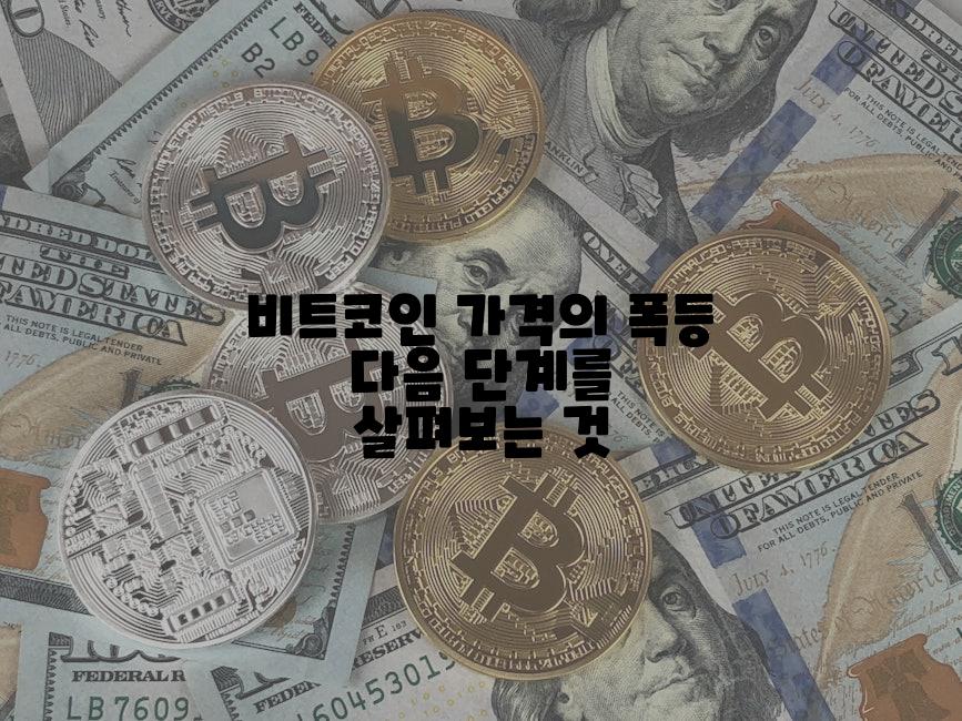 비트코인 가격의 폭등 다음 단계를 살펴보는 것