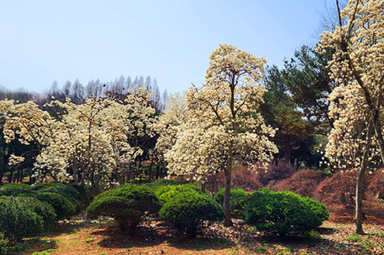 익산 아가페정원