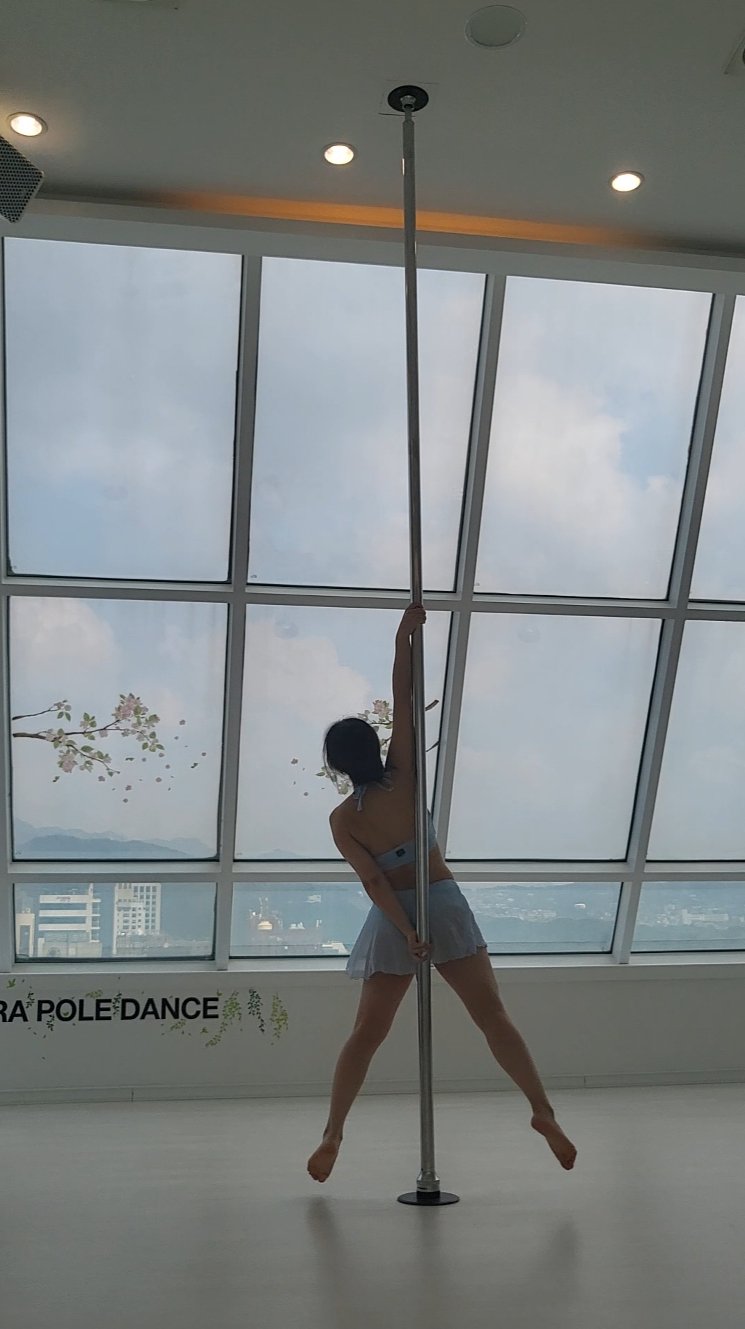 폴댄스 리버스 그립