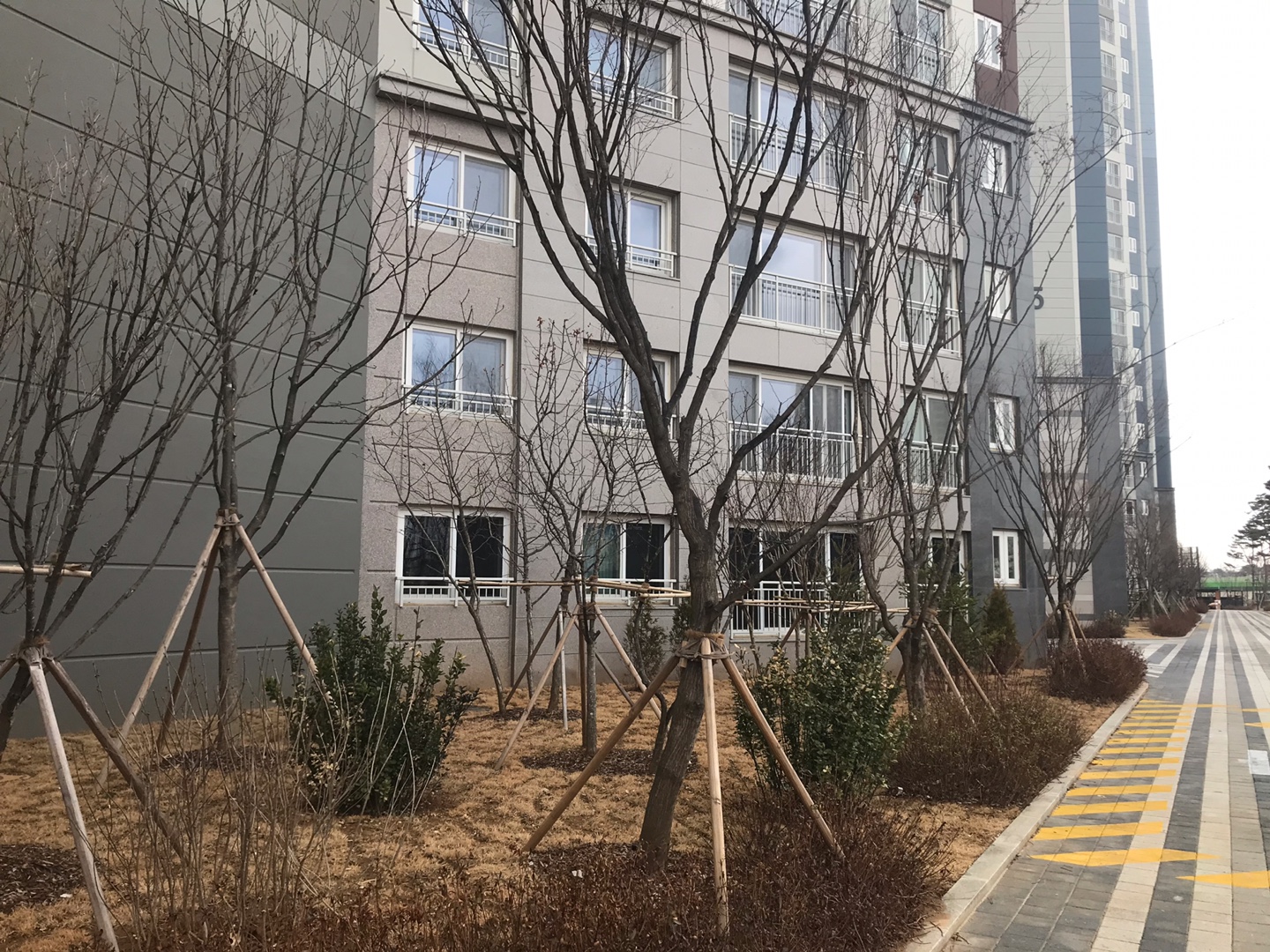  3기신도시 지정 취소 청원 7만명인데 될까? 개인적인 의견!