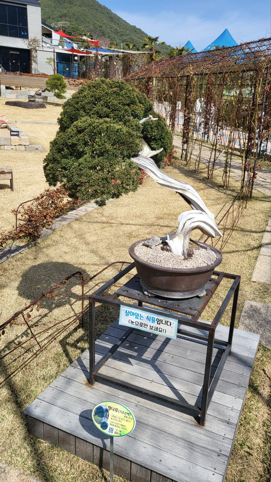 더로드 이미지