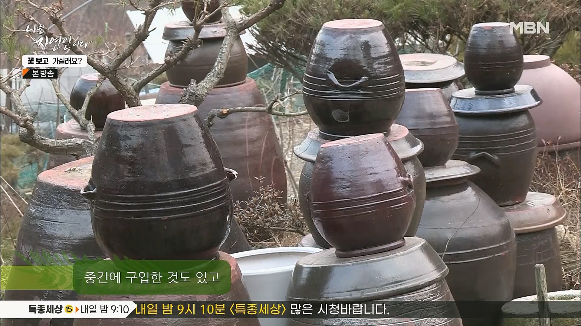 나는 자연인이다.E545.230315p.H264-F1RST.mp4_20230316_212059.145.jpg