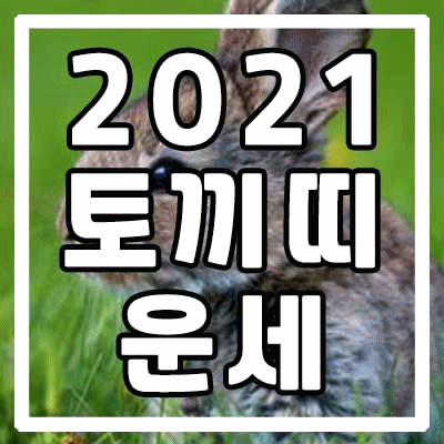 2021년 토끼띠 운세