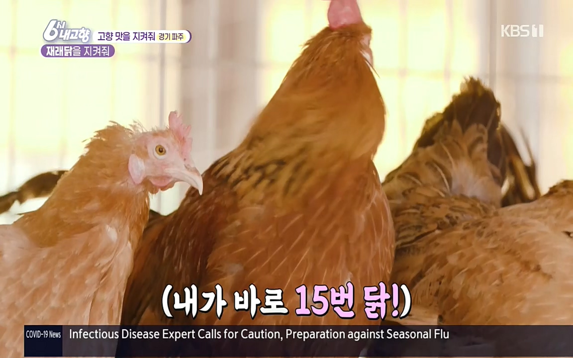 6시 내고향.E7618.220916p.H264-F1RST.mp4_20220920_204753.788.jpg