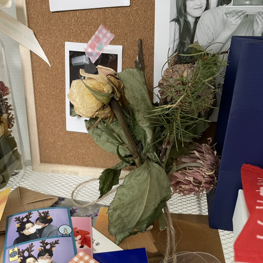 망고튤립오래 보관하는 2