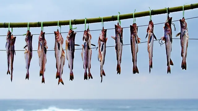 명태포무침 명태채무침 황금레시피_8
