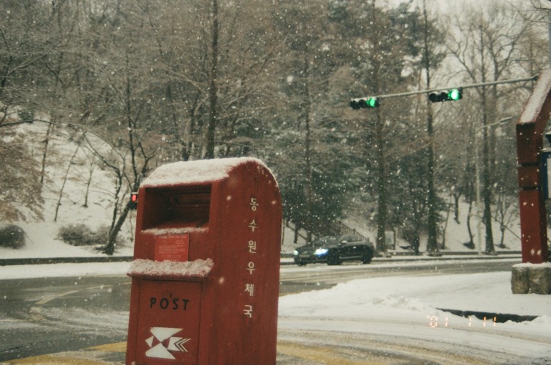 중고 펜탁스 SF7 자동차 필름 카메라 이야기. 결과는 9개월만에 나왔다. 21