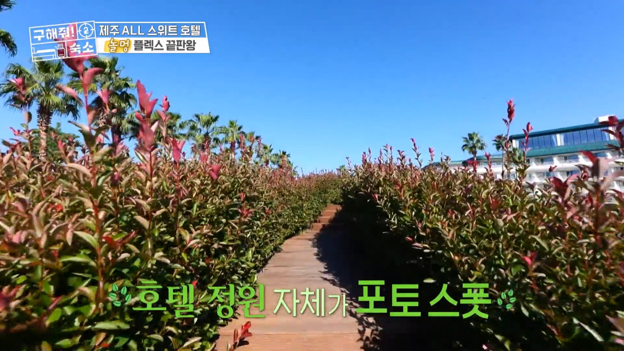 구해줘숙소 제주 그랜드 조선제주 힐스위트 07