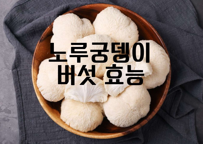노루궁뎅이버섯 효능