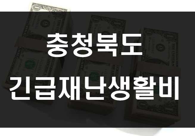  충청북도 재난기본소득 긴급재난생활비 지원 코로나 대책