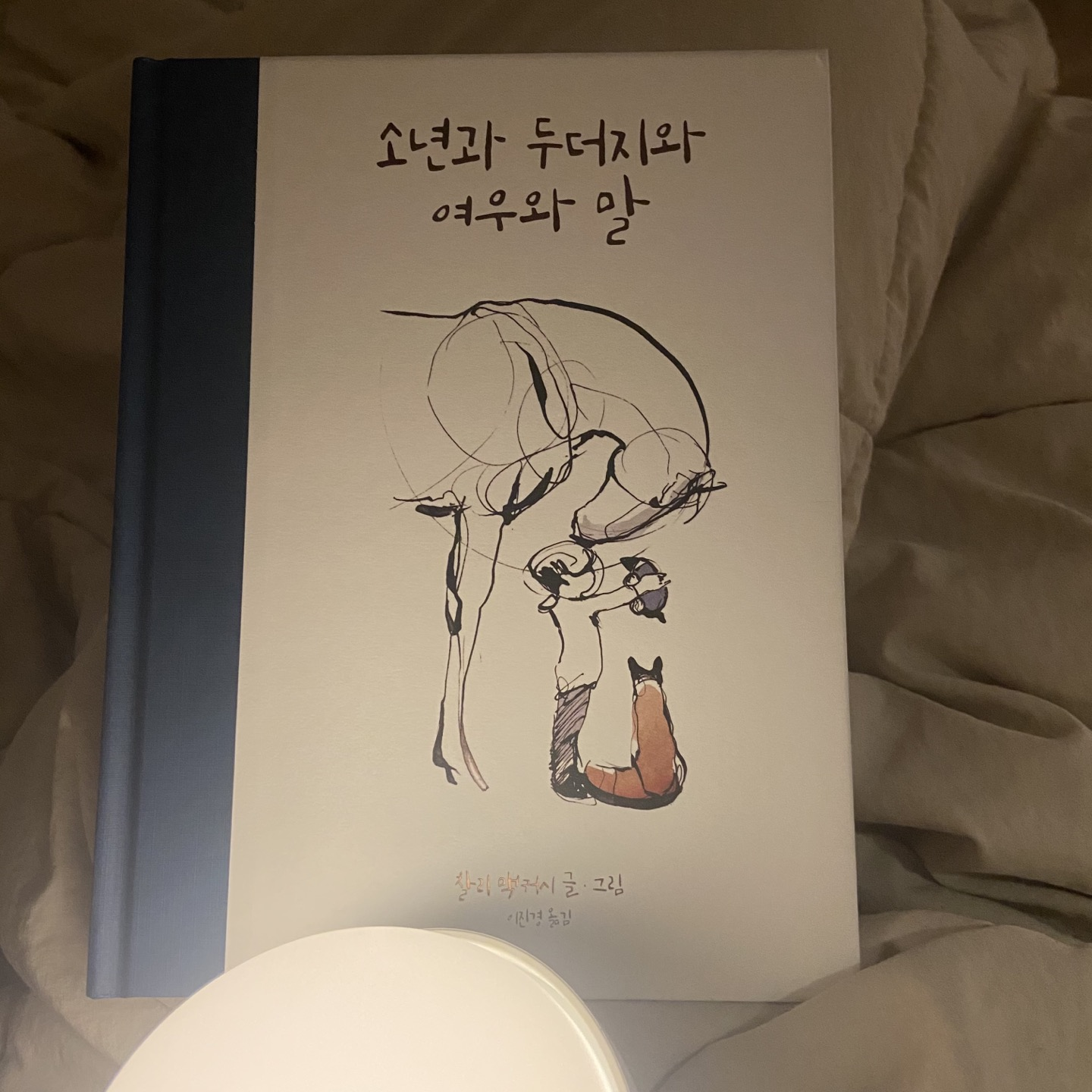 소년과-두더지와-여우와-말-책-표지-사진