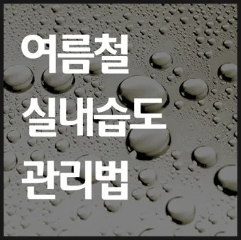 여름철 습도 관리 완벽 가이드 건강한 실내 환경_23
