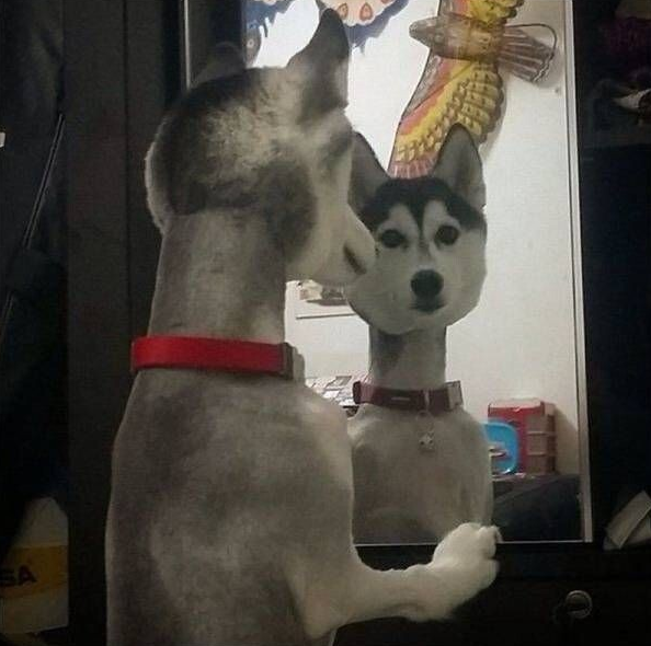  주인아 나한테 왜 그러냐..?