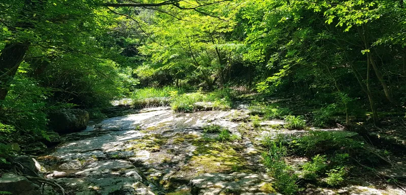 창원 비음산