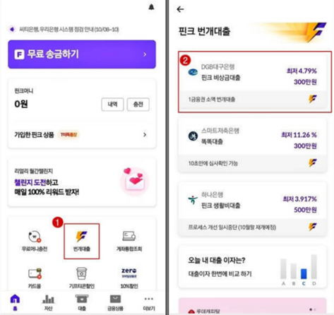 핀크 비상금 대출의 특징