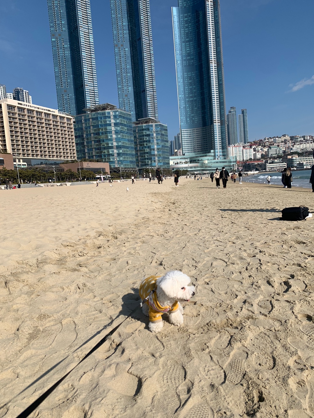 동구의 하이텐션 해운대 해수욕장 산책(12)